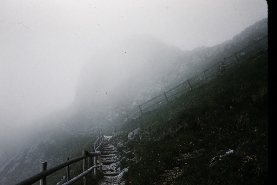 A path into the mist