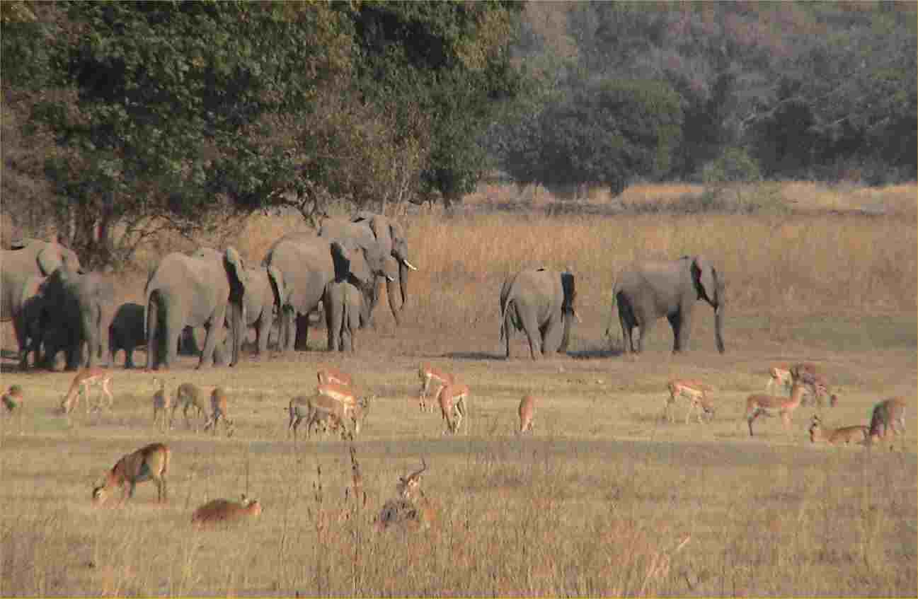 A peaceful African scene.