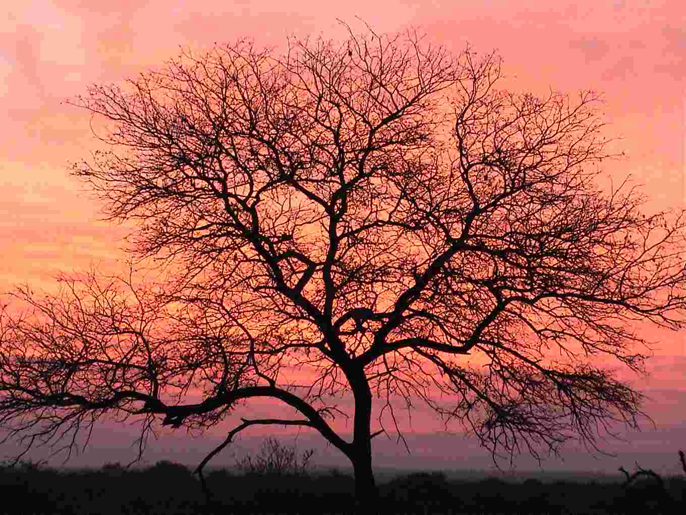 Rich, deep sunset colors fill the western sky.