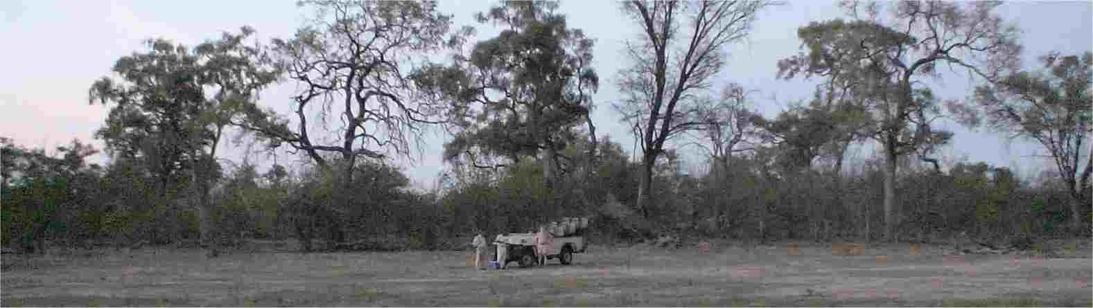 This picture was taken about 7:00 p.m. on November 28, 2006, not too far from the Savuti Tented Camp.  Photo by FG.