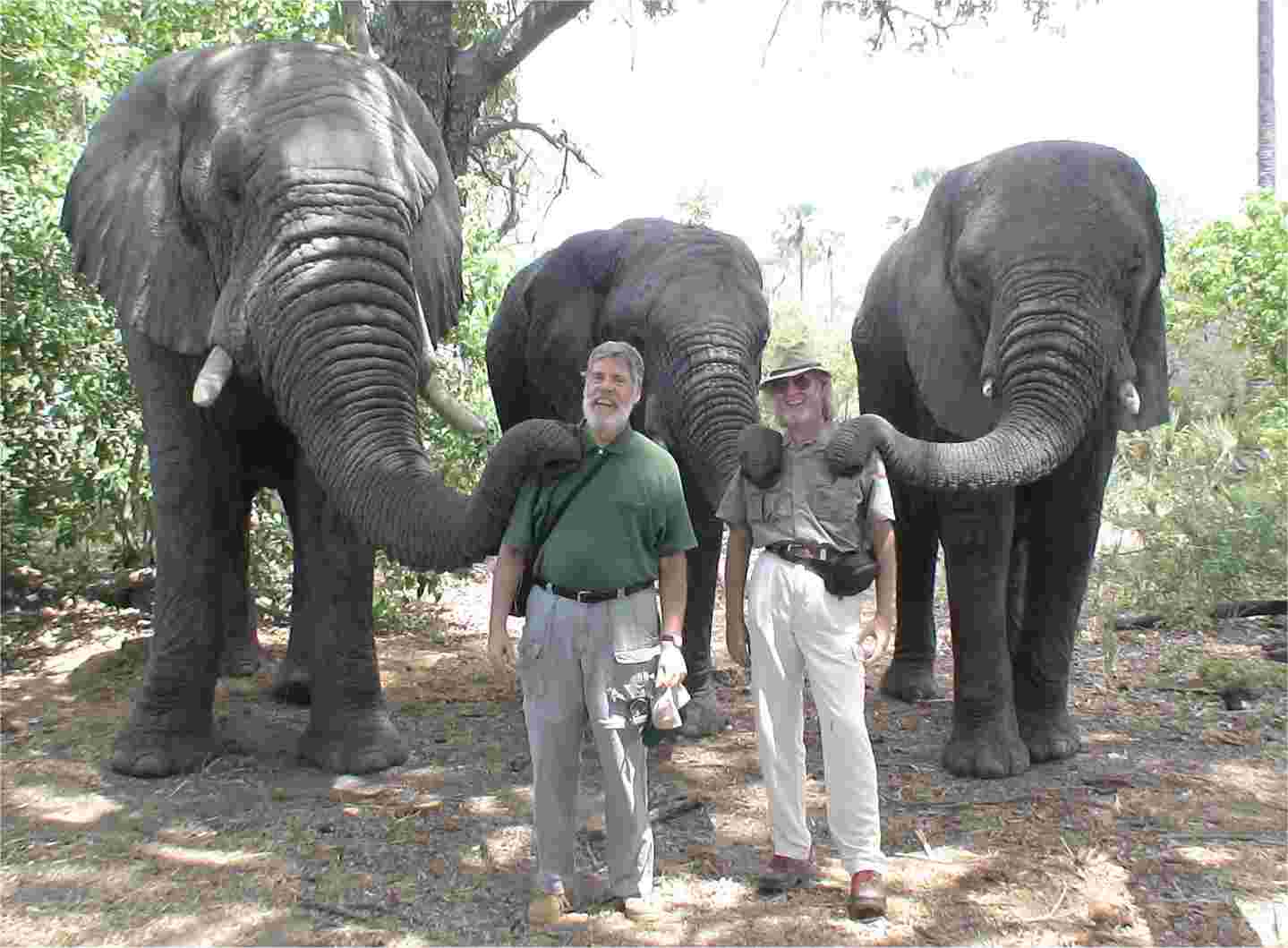 Posing with the elephants is great fun! JJ is on the left; I'm on the right. Photo by Douglas Alan Groves.