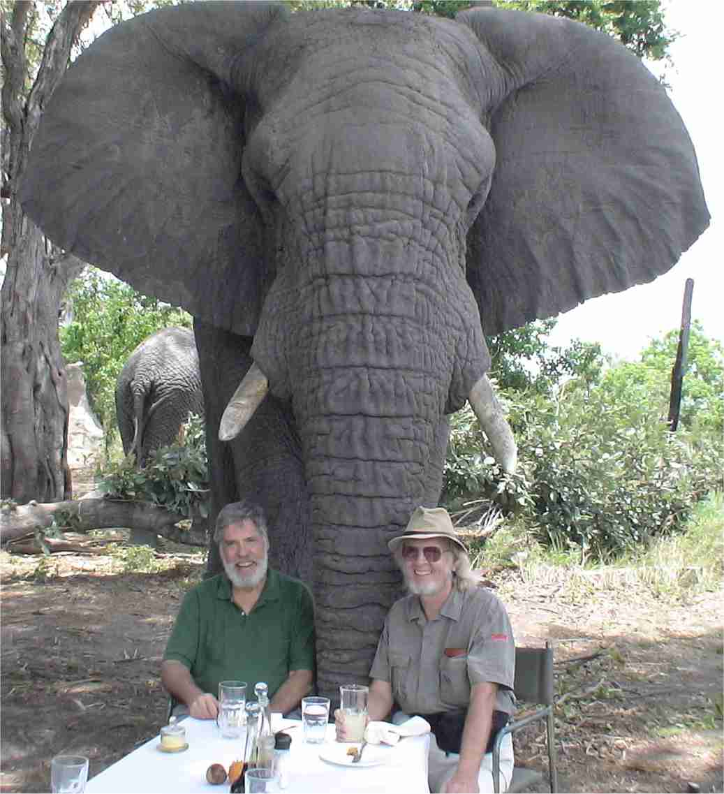 Posing with the elephants is great fun! JJ is on the left; I'm on the right. Photo by Douglas Alan Groves.