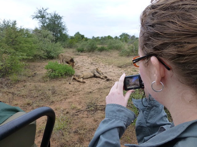 The lions are apparently out marking their territory. A time or two they let out a deep, powerful roar. Thrilling! Photo by FG.