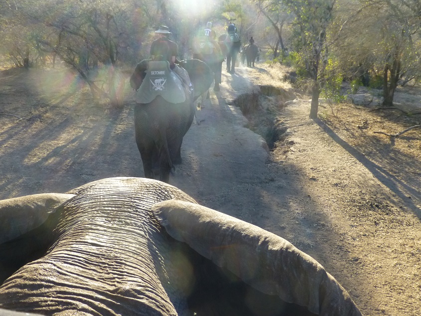 Riding the elephants.  Photo by FG.