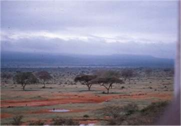 Kenya vista