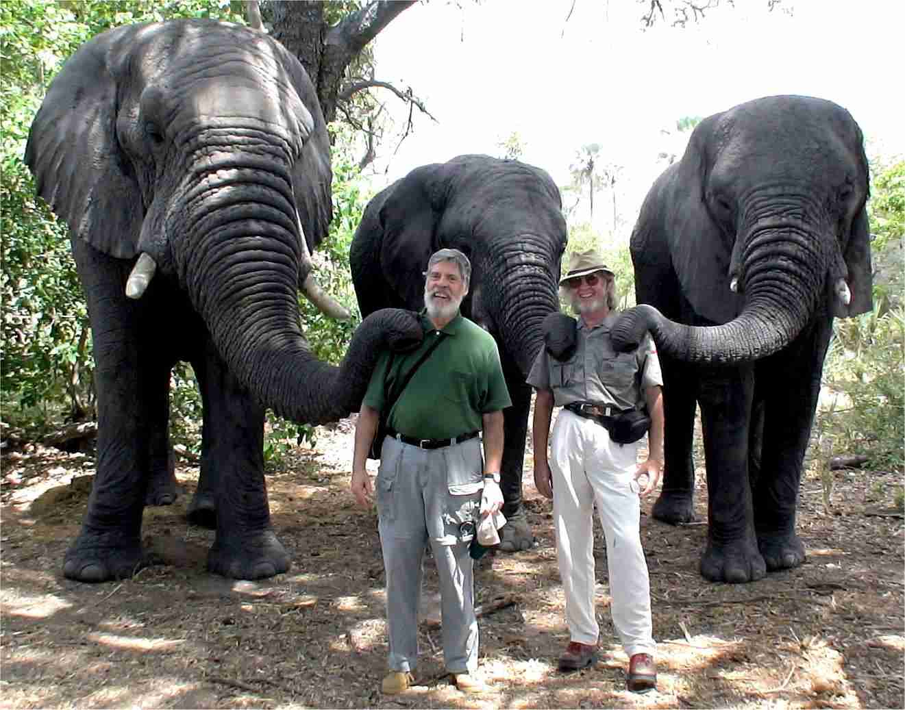 Jim and I pose with two elephants