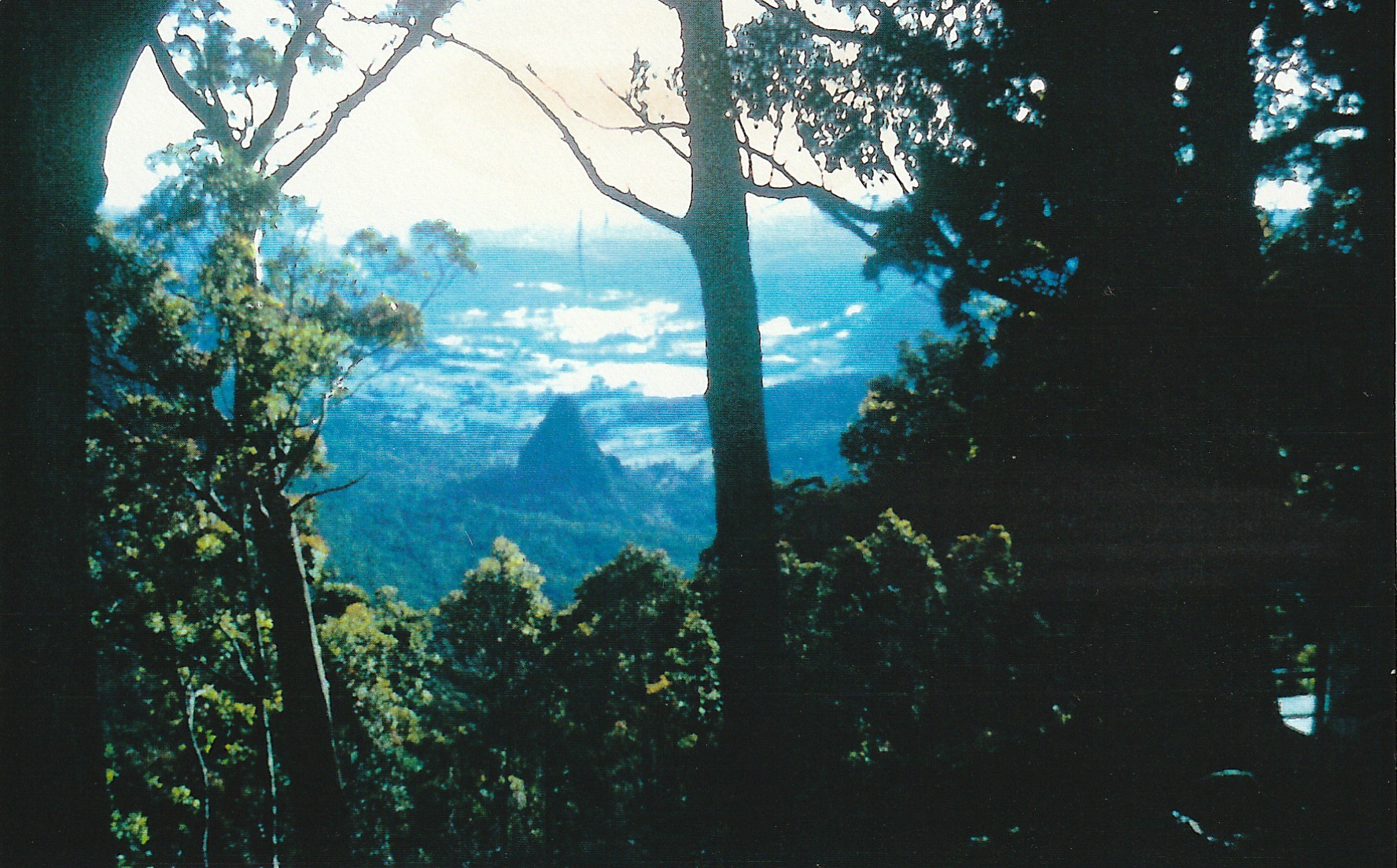 View from Binna Burra Mountain Lodge.