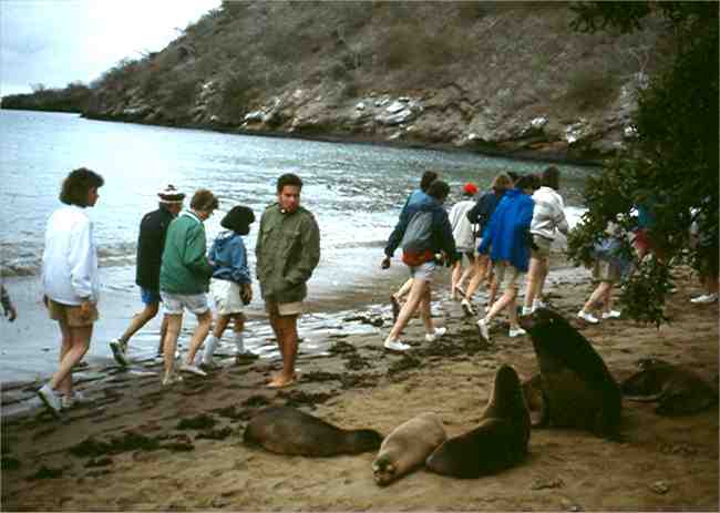 Most of the sea lions don't bother us.  Photo by Dad.