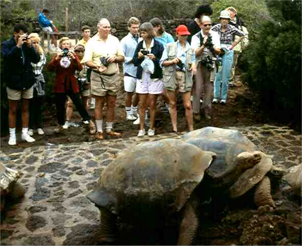 The tourists weren't allowed to step on the stone platform.  Photo by Dad.