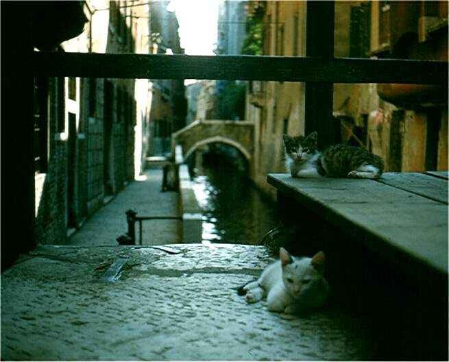 Everywhere you look, there's a peaceful canal. Photo by FG.