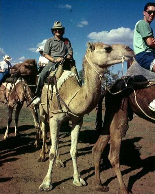 Atop my camel, I'm ready for the trek. Photo by a guide.