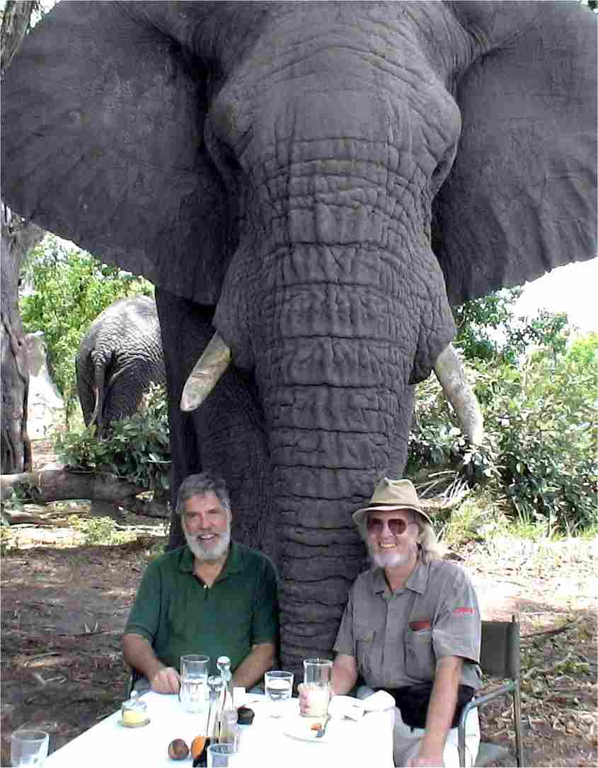 My in-the-bush luncheon companions were my brother, Jim (left), and a very large elephant. Photo by Douglas Alan Groves.