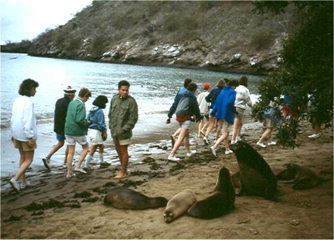 Watch out for the sea lions. Photo by FG.