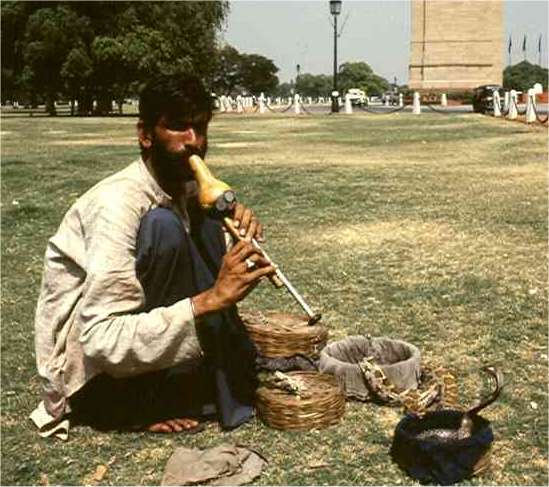 Snake charmers were anxious to show off their snakes, but payment was expected if you wanted to take a photo. Photo by FG.