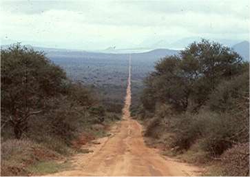The road seems to go forever. Photo by FG.
