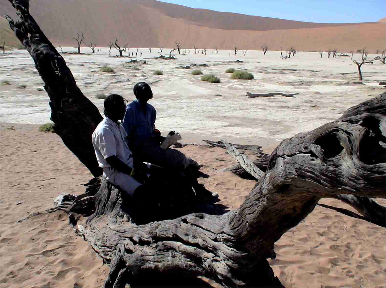 Dead Vlei. Photo by FG.