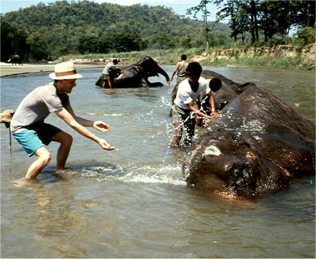 Bob joins in with washing the elephants.  Photo by FG.