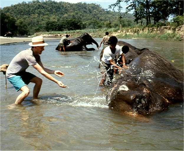Bob joins in with washing the elephants. Photo by FG.