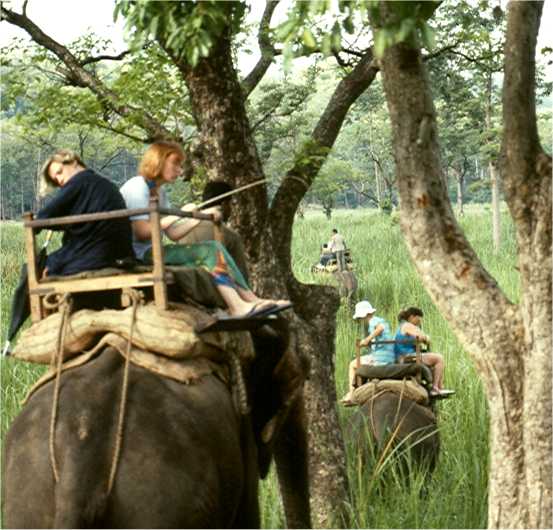 Wooden platforms on the backs of the elephants hold two to four people each. Photo by FG.