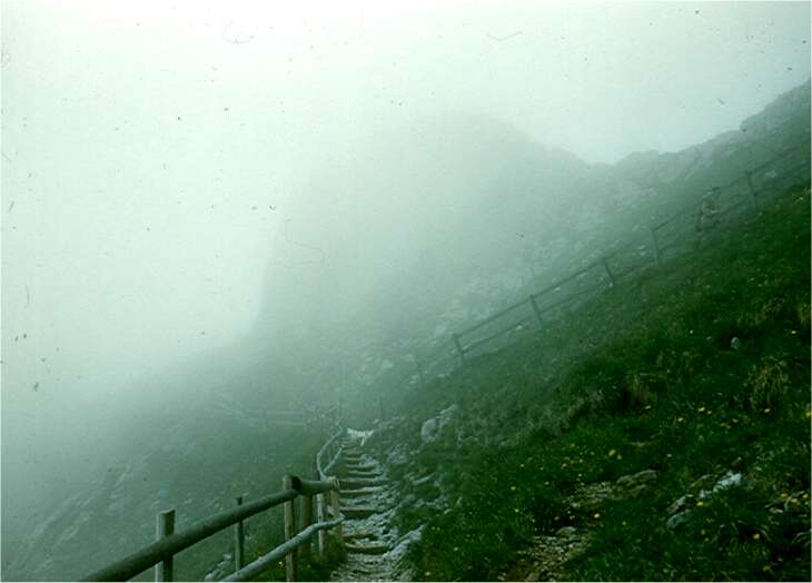 The path is just barely discernable. Photo by FG.