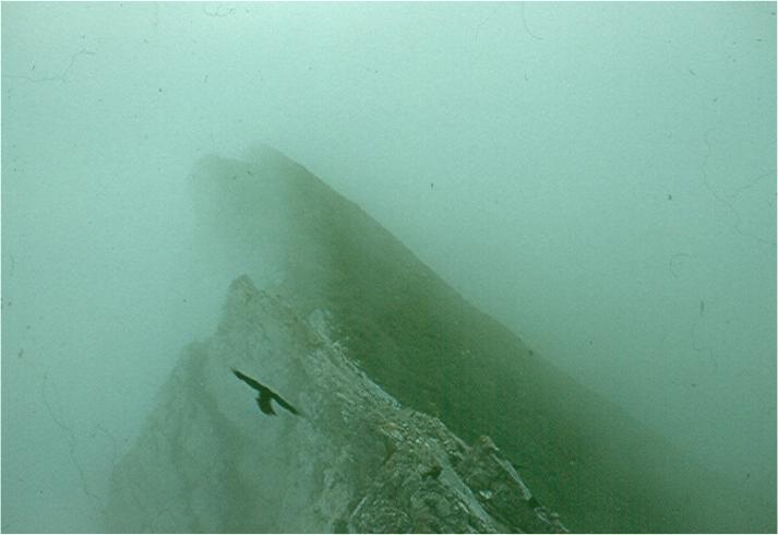 A break in the mist appears, then moments later closes up again. Photo by FG.