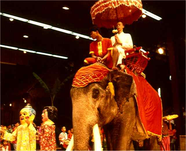 Elephants still play a large role in Thai life. Photo by FG.