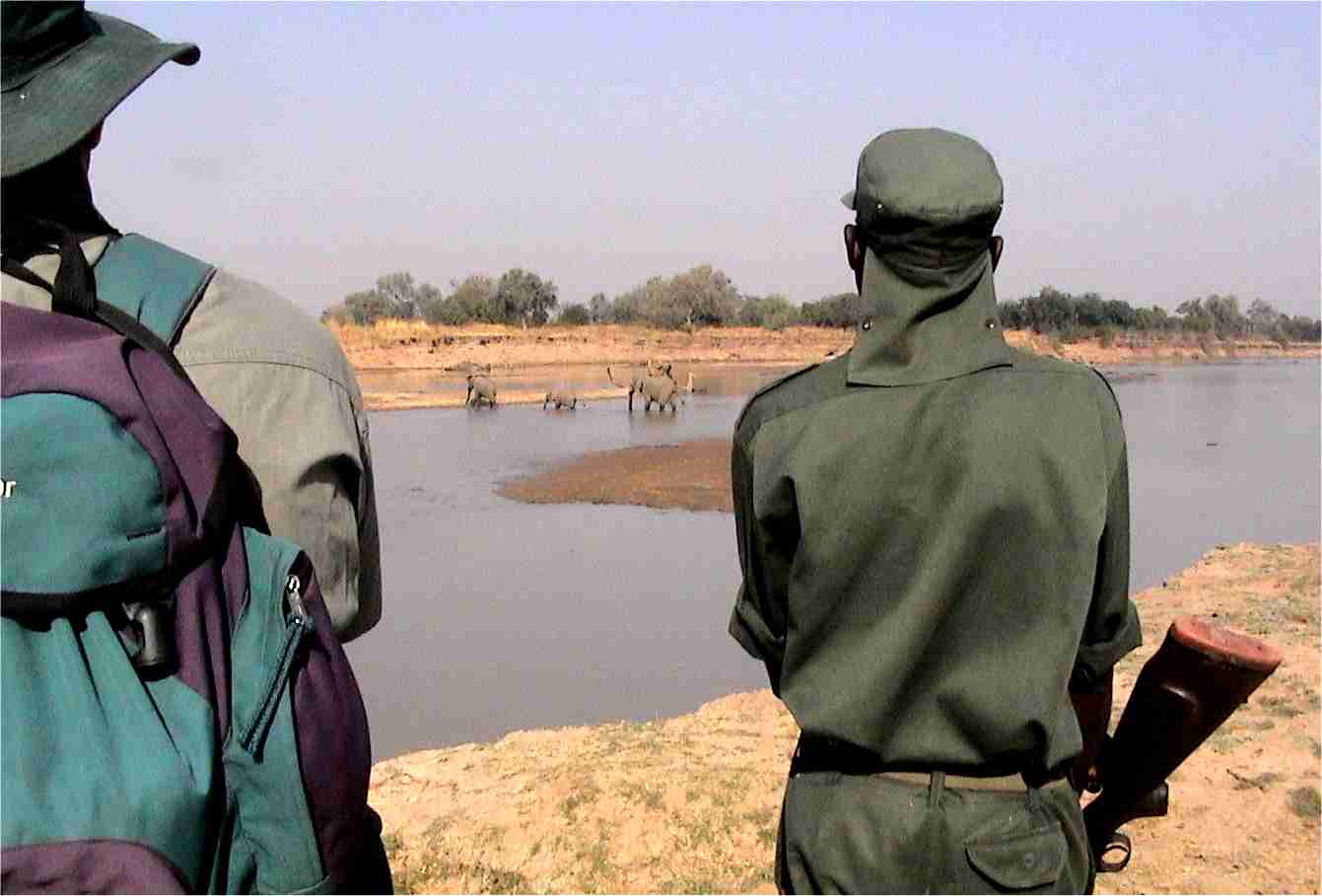 Our guides watch as the elephants reach the other side of the river. Photo by FG.