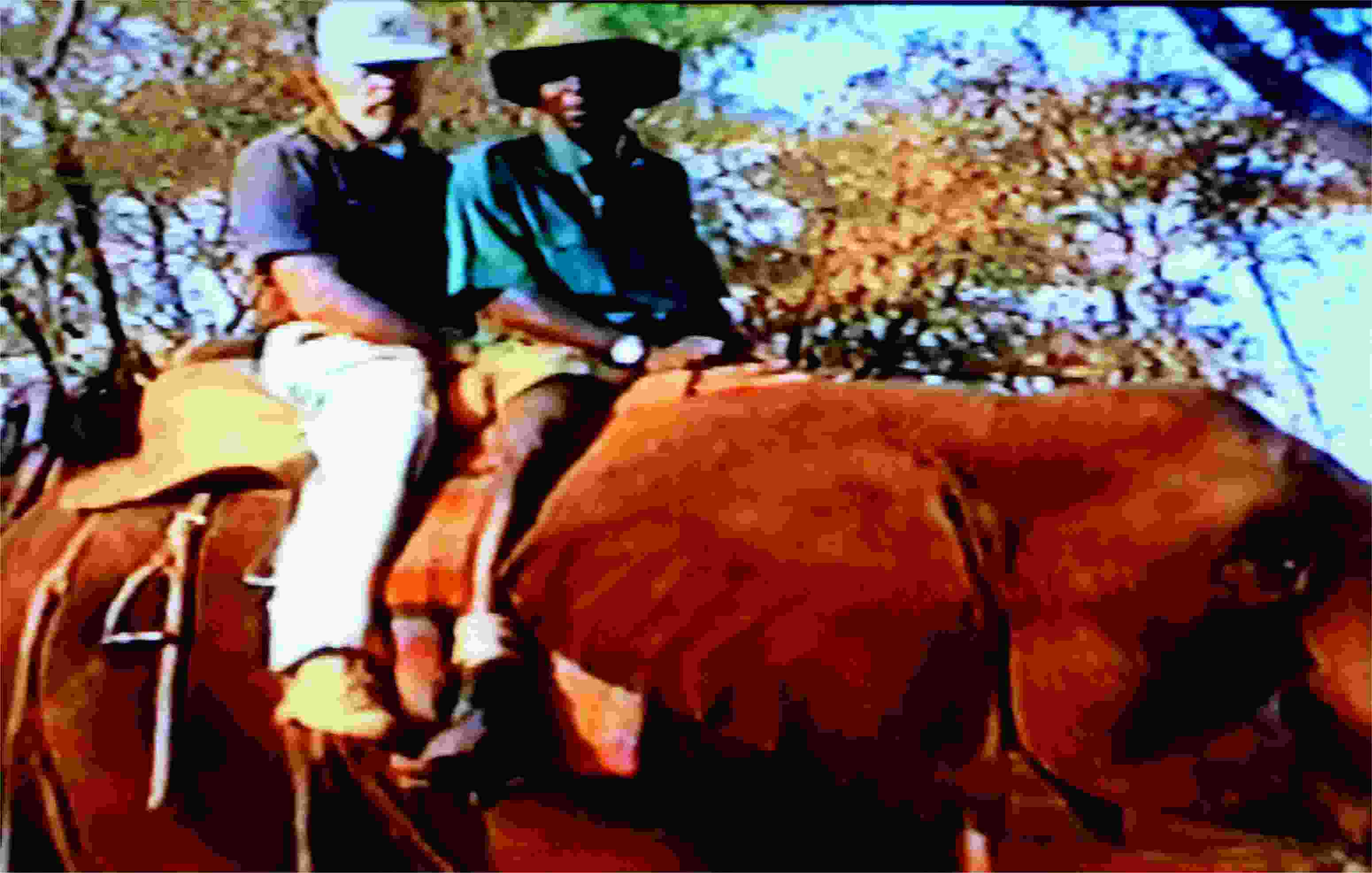 Jim's elephant rides were not as successful as mine. He suffered a sore and uncomfortable bottom from bumping around in the elephant saddle. Photo from video by FG.