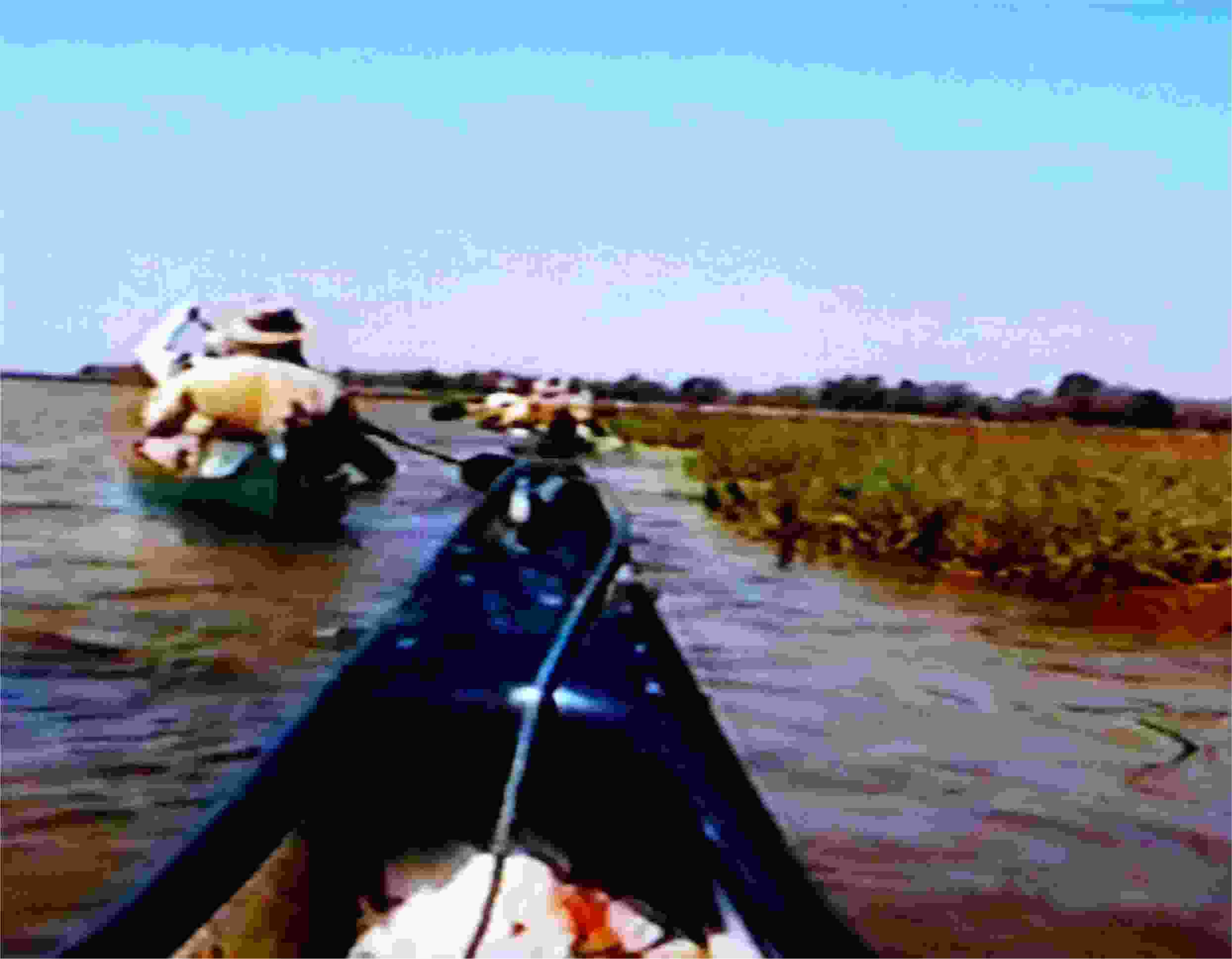 We paddled as much as 25 kilometers or more each day.  It was wonderful.  Photo from video by FG.